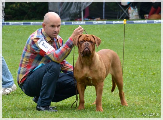 Guusje Clubmatch 2013.jpg